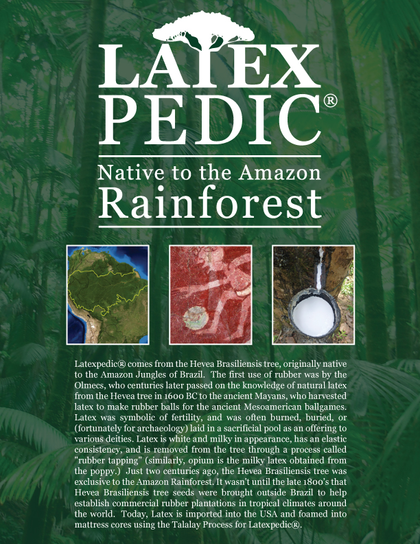 phoenix az natural bed