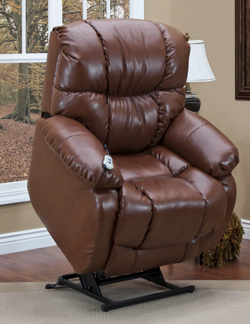 Image result for electropedic lift chairs