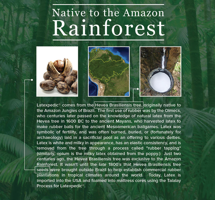 latex foam phoenix az mattress specialists