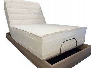 latex talalay foam natural organic kraus mattress